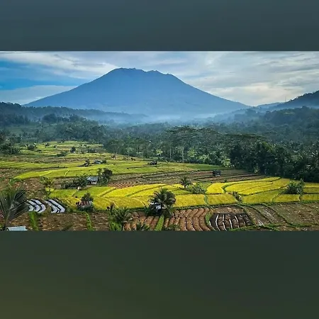 Lumbung Ayu Sari And Spa